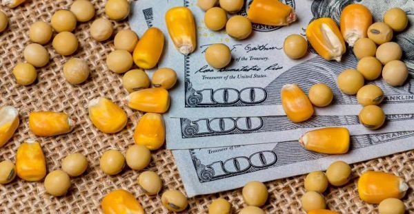 Lock in corn and soybean prices
