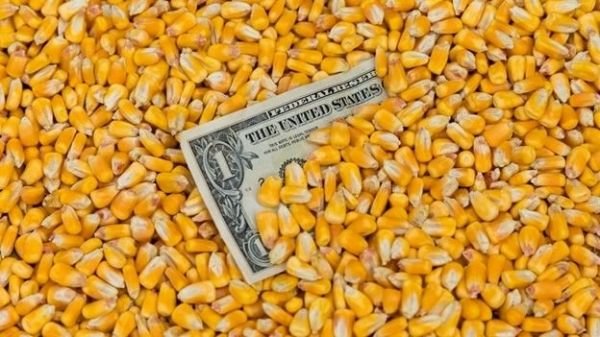Are we heading to sub-$4 corn?