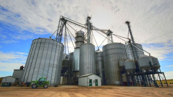 4 steps for grain farmers to finish strong
