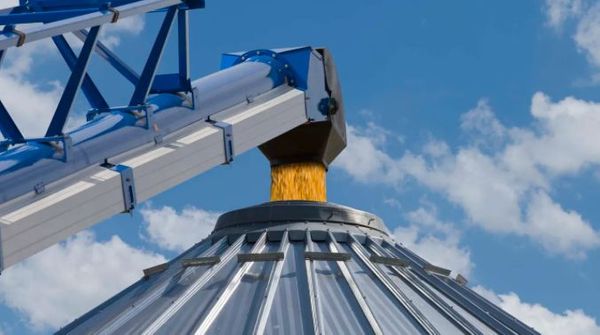 3 ways to capitalize when grain prices are low