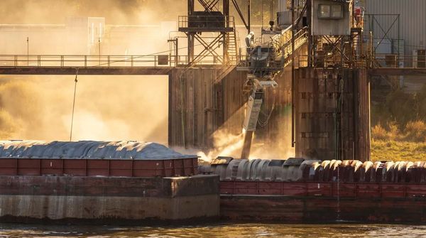 Bouncing Basis: Drought and Data Dearth Complicate Grain Markets