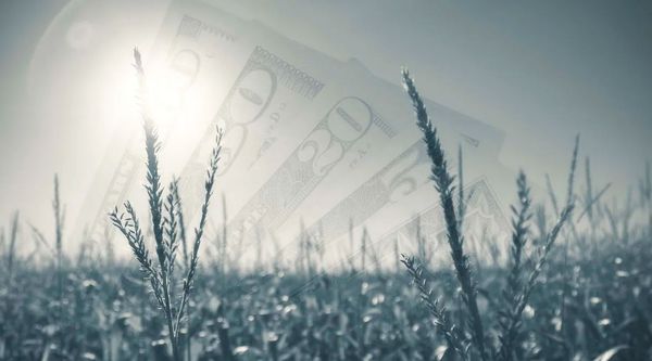 Position yourself for post-Planting Intentions report success in the grain markets