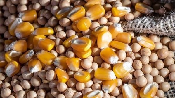 The tricky business of marketing 2 crops at once