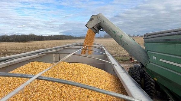 Stock shock: USDA report depresses prices