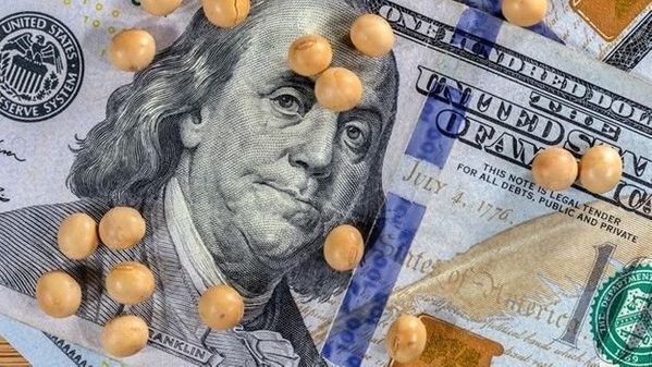 2023 lessons: Managing farm profit