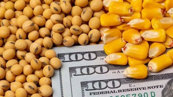 Is a weather premium propping up corn prices?