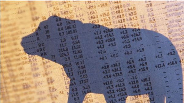 Is a Bear in the Hog Market?