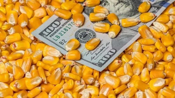 Plan for Grain Market Volatility