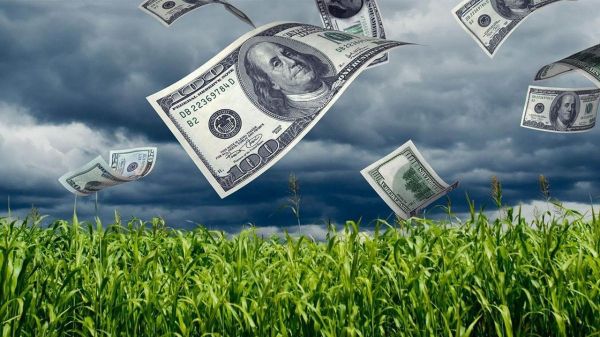 How Low Will Soybeans Go?