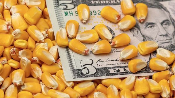 Will U.S. Farmers See $5 Corn?
