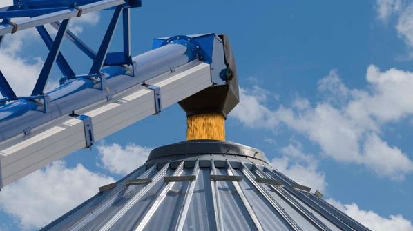 Will Corn Supply Sink Prices?