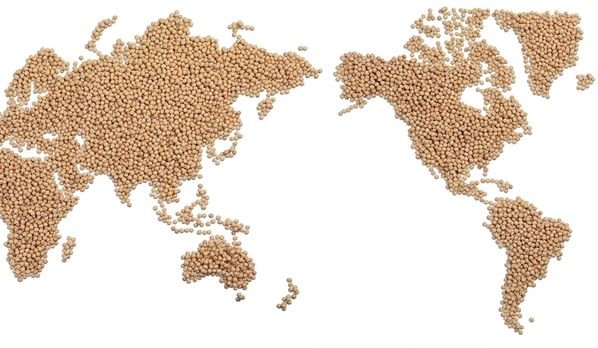 Will hot tariff talk put exports on ice?