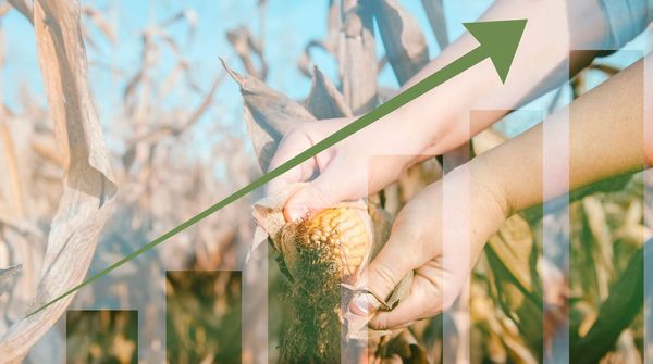 Rallies don't run on hope